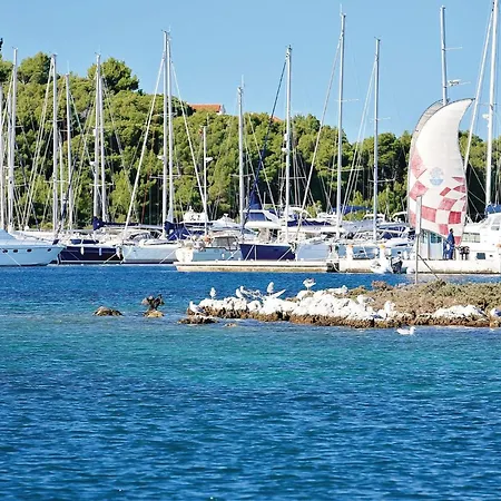 Cozy In With Wifi Apartment Rogoznica (Sibenik-Knin)